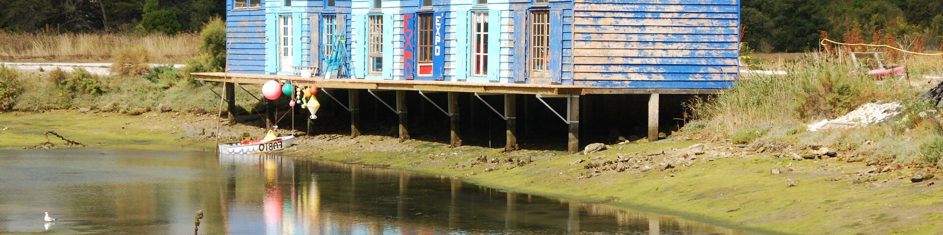 Vue de l'île d'Oléron.
