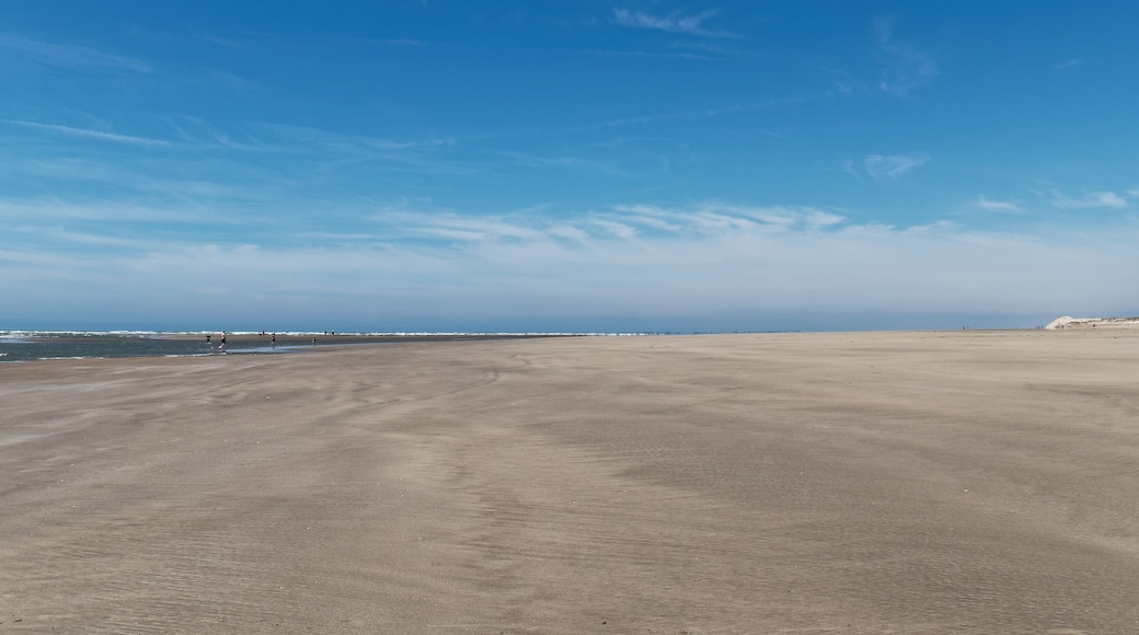 Saint-Trojan-les-Bains