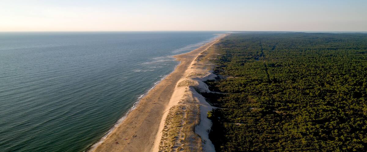 A coastal landscape with a sandy beach and dense forest.