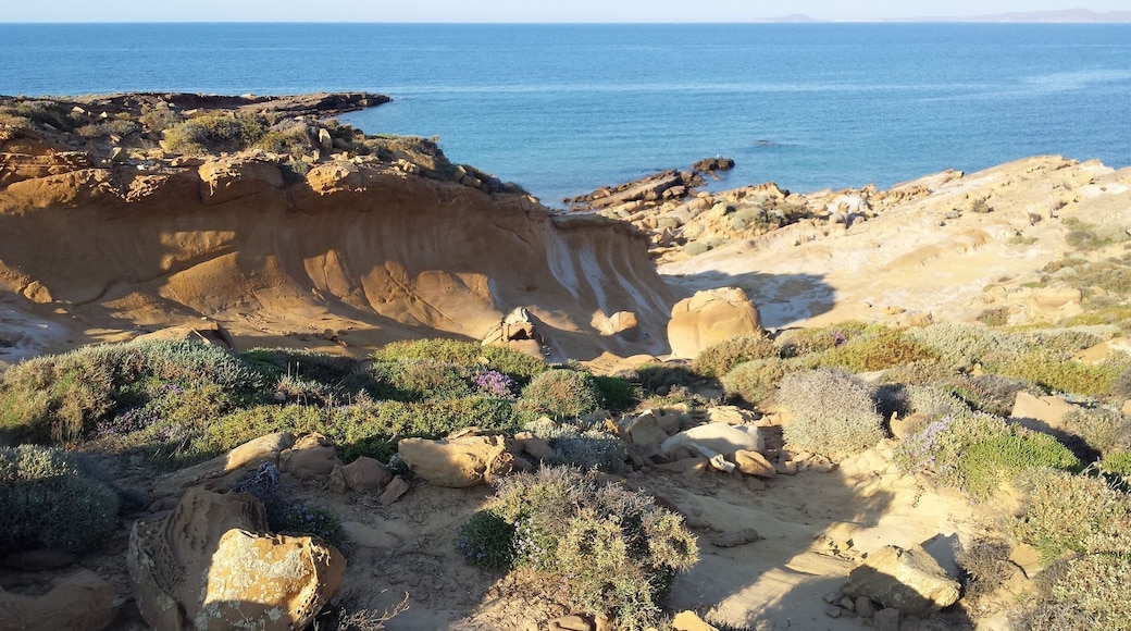 Cape Faraklo, or The Stone forest.Volcanic origin, unique mix of different shapes!