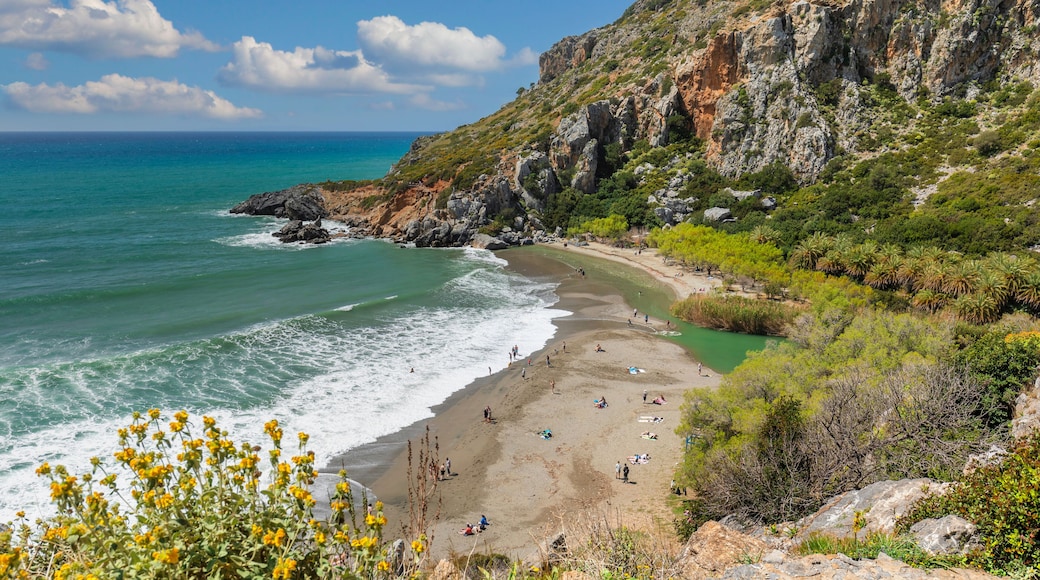 Palm beach of Preveli, Rethymno, Crete, Greek Islands