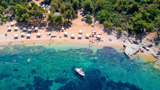 Aerial view of sandy beach with sunbathing tourists and clear turquoise sea