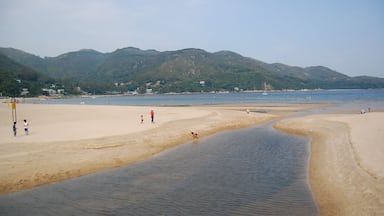 Uma praia com um canal de água suave, margem arenosa e colinas verdes ao fundo.
