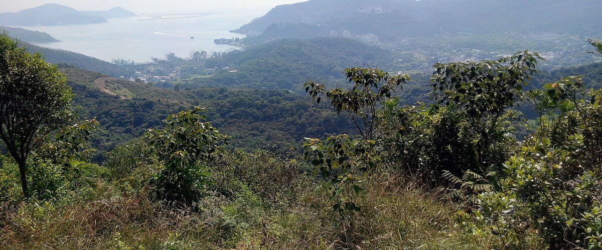 A mountainous landscape with dense greenery, a distant body of water, and a small settlement.