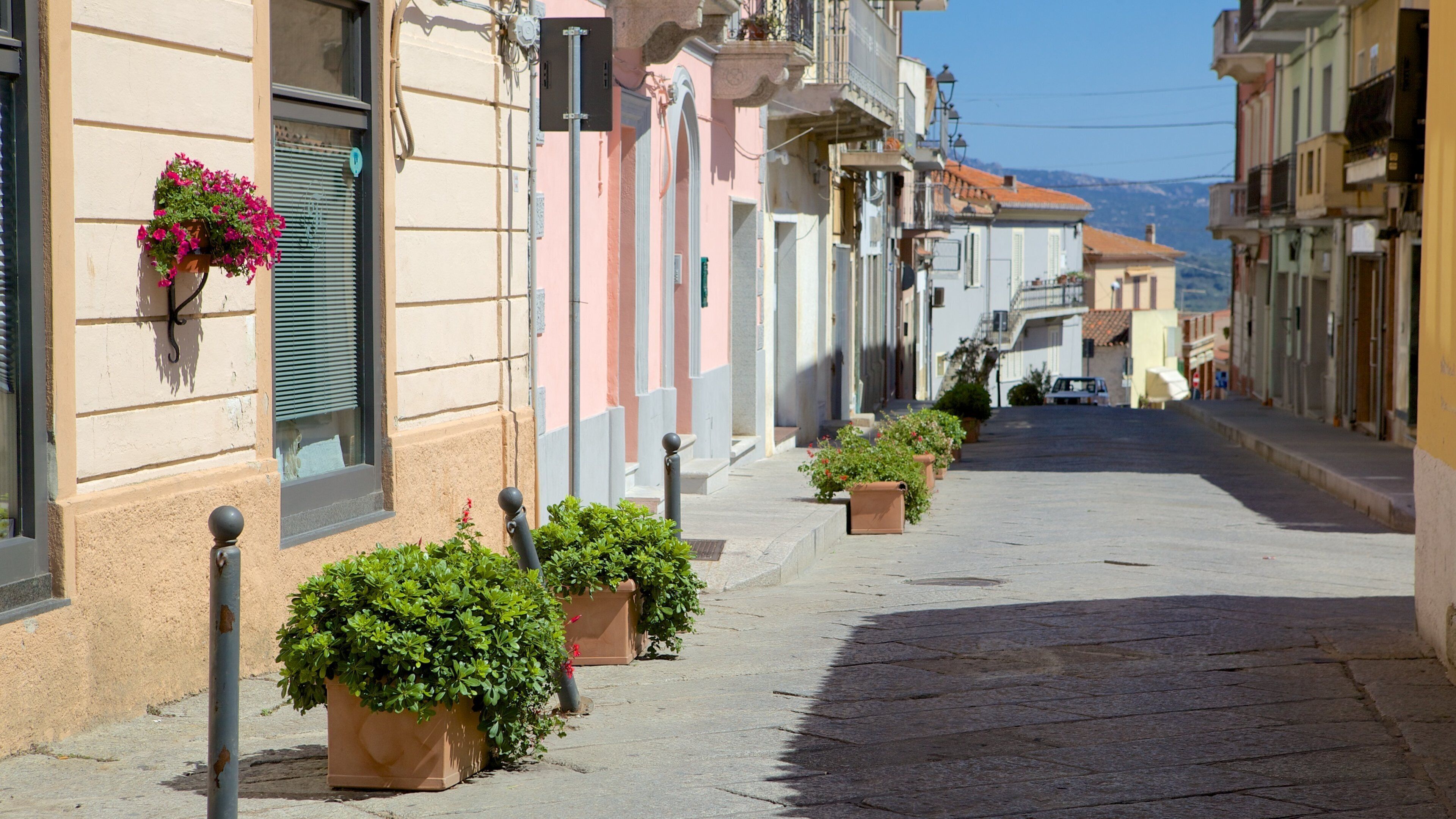 Arzachena which includes street scenes
