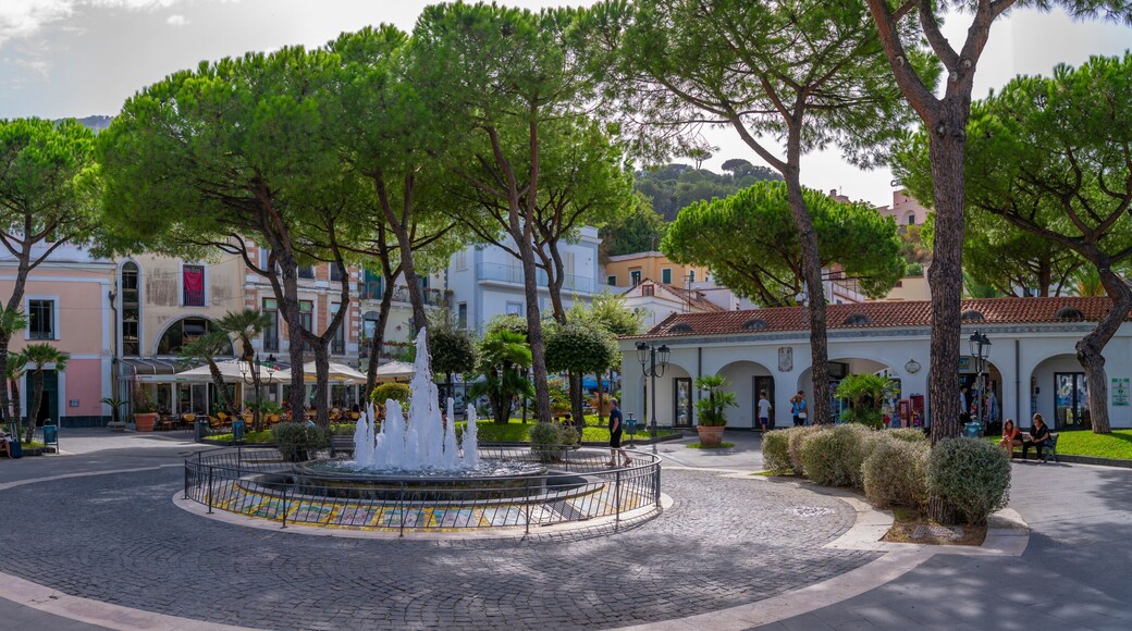 كساميسيولا تيرم