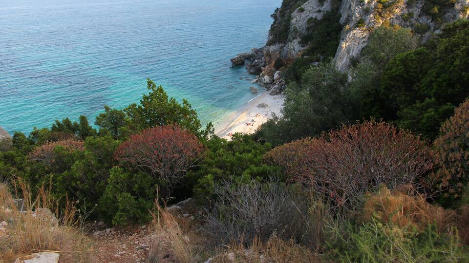 A coastal landscape with a beach, rocky cliffs, and dense vegetation.