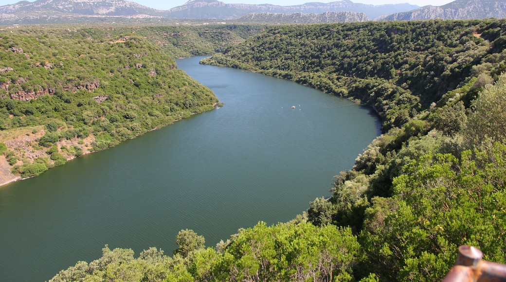 - Cala Gonone (Dorgali)