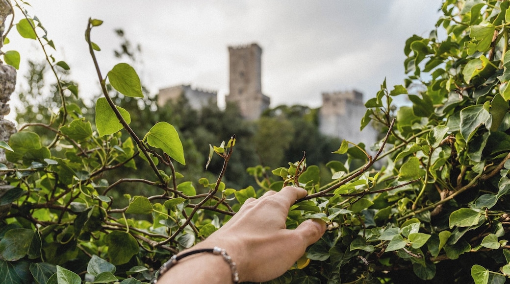 Follow me on Instagram: @expatexplode
Erice is an ancient town in Sicily . Take a bus or cable car from Trapani to visit this city on top of the world.