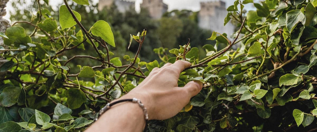 Follow me on Instagram: @expatexplode
Erice is an ancient town in Sicily . Take a bus or cable car from Trapani to visit this city on top of the world.