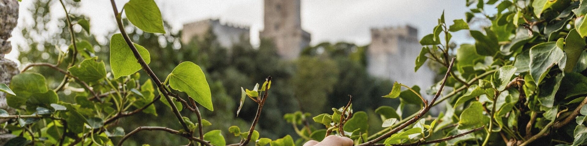 Follow me on Instagram: @expatexplode
Erice is an ancient town in Sicily . Take a bus or cable car from Trapani to visit this city on top of the world.