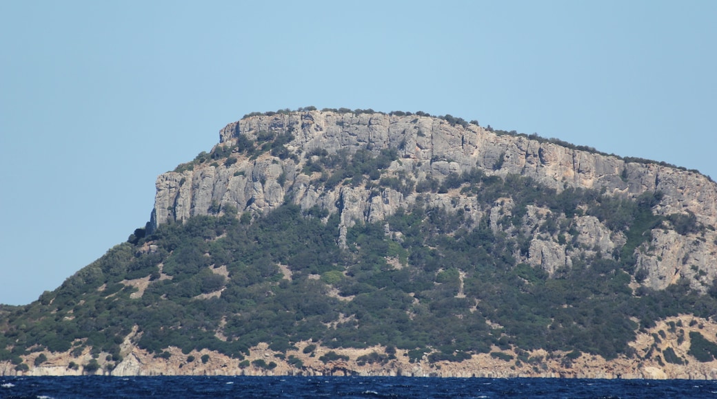 Golfo Aranci - Isola di Figarolo