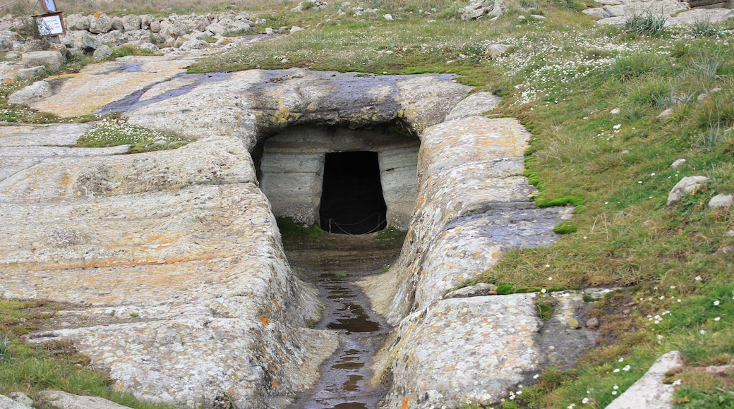 Macomer, necropoli di Filigosa