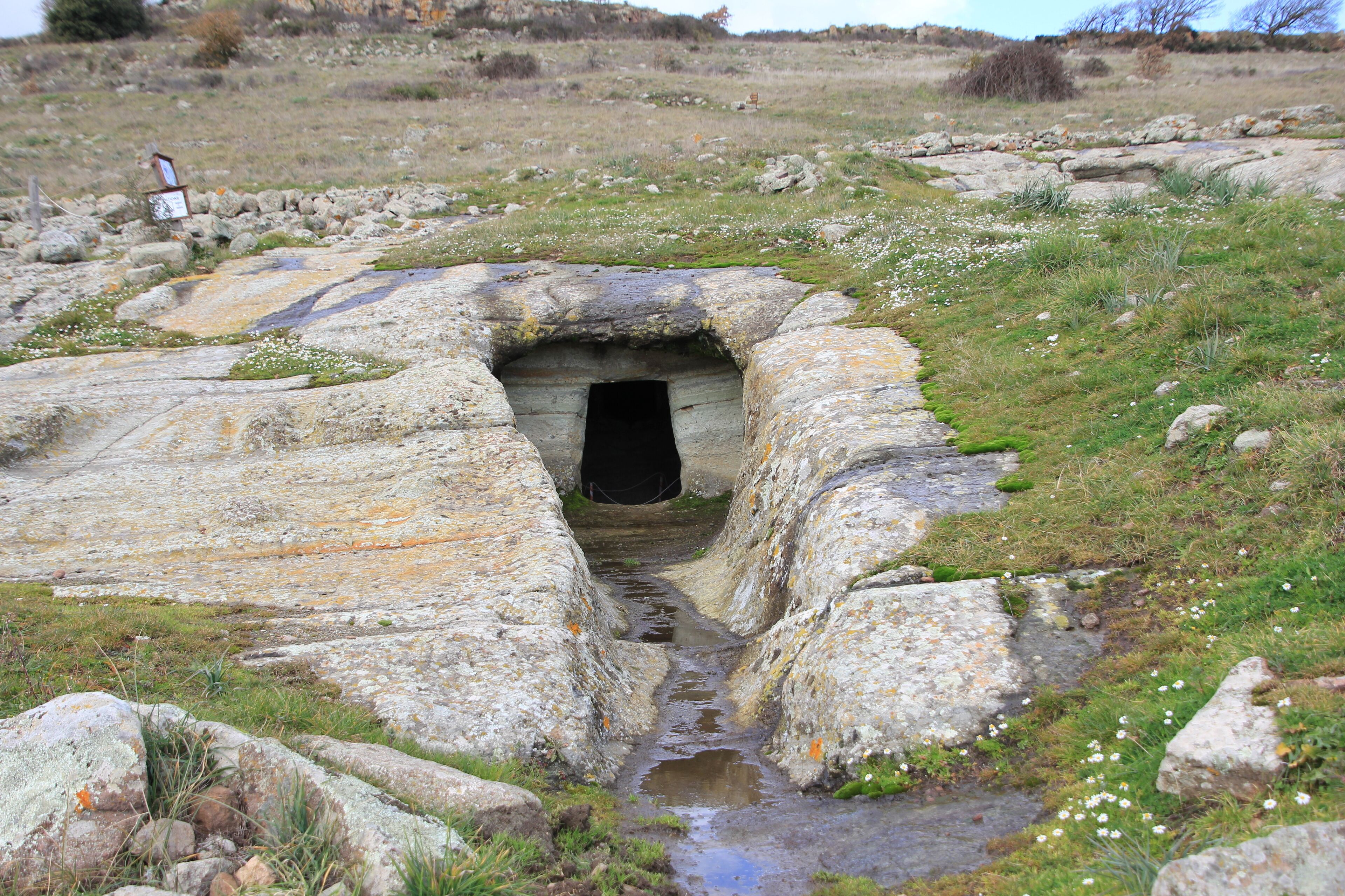 Macomer, necropoli di Filigosa