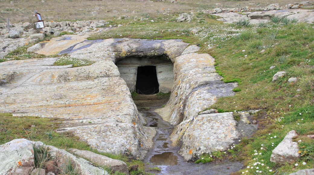 Macomer, necropoli di Filigosa