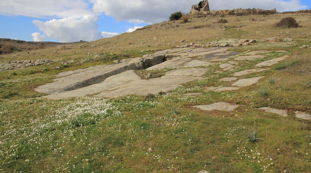 Macomer, necropoli di Filigosa