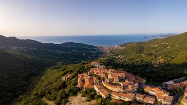 Aerial Drone Panorama of mountain old town Marciana on the islands of Elba Italy with green trees and the mediterranean sea ocean in the background