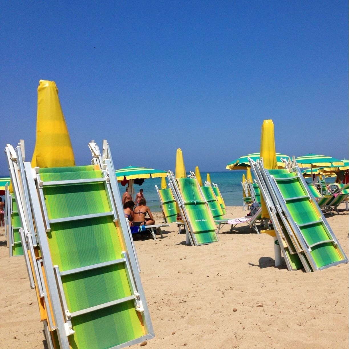 Beach chairs and umbrellas lined up on a sandy beach with a clear blue sky.