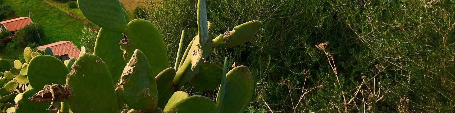 Milazzo, view to the Aeolian Islands, Sicily