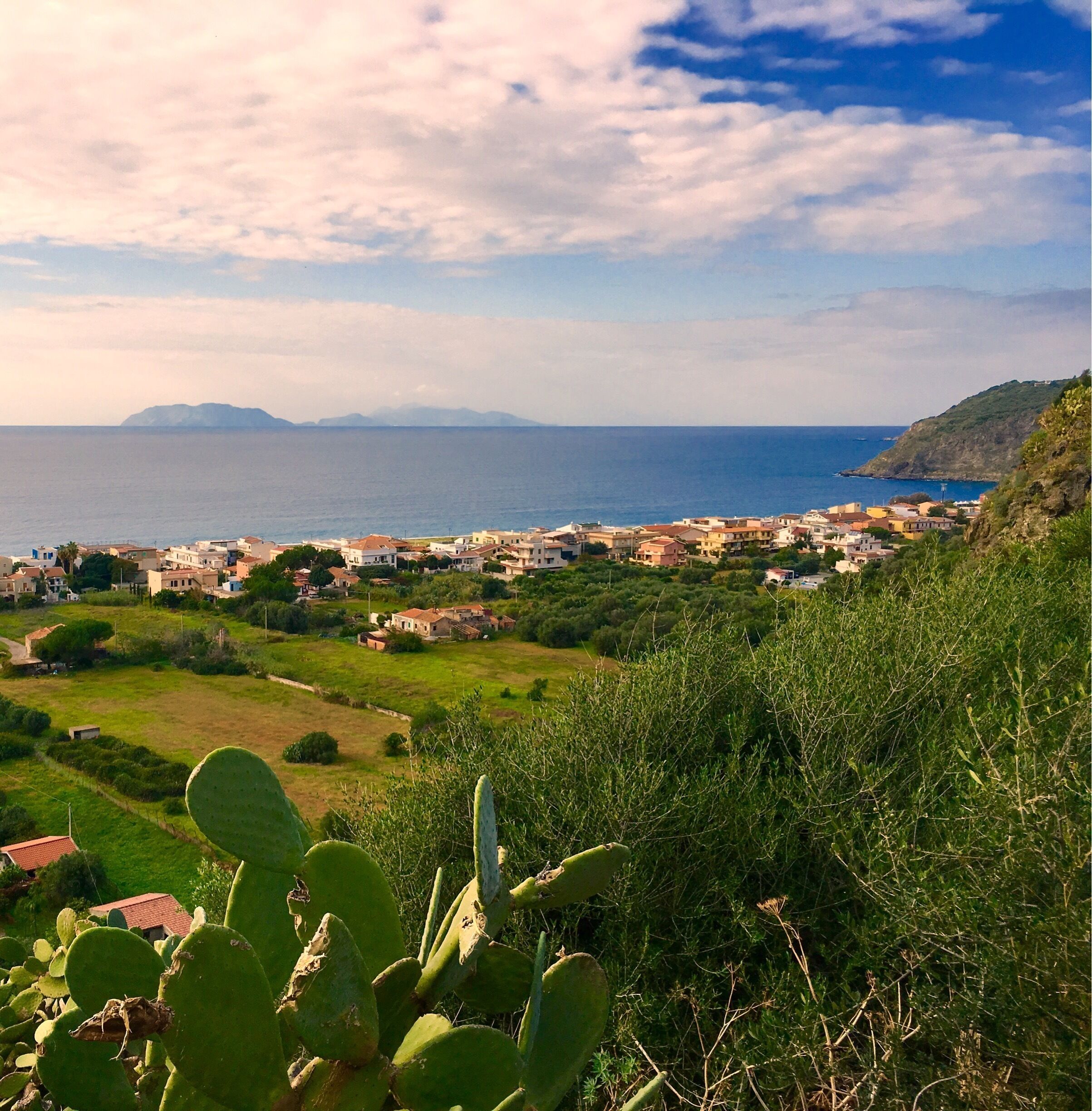 A coastal town with houses, greenery, and a cactus in the foreground.