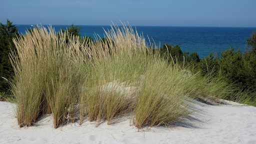Sardegna, provincia di Nuoro, Siniscola: spiaggia di capo Comino