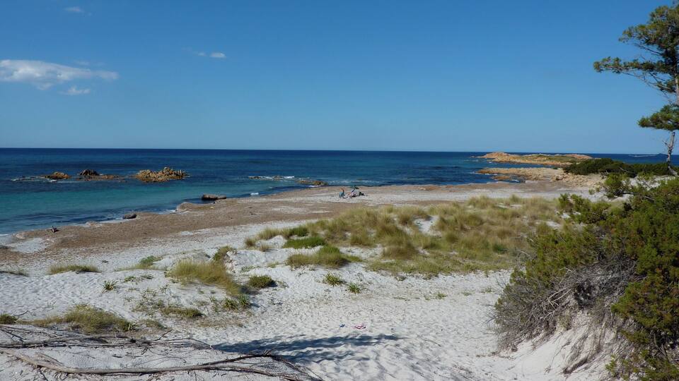 A sandy beach with sparse vegetation and rocky outcrops in the water.
