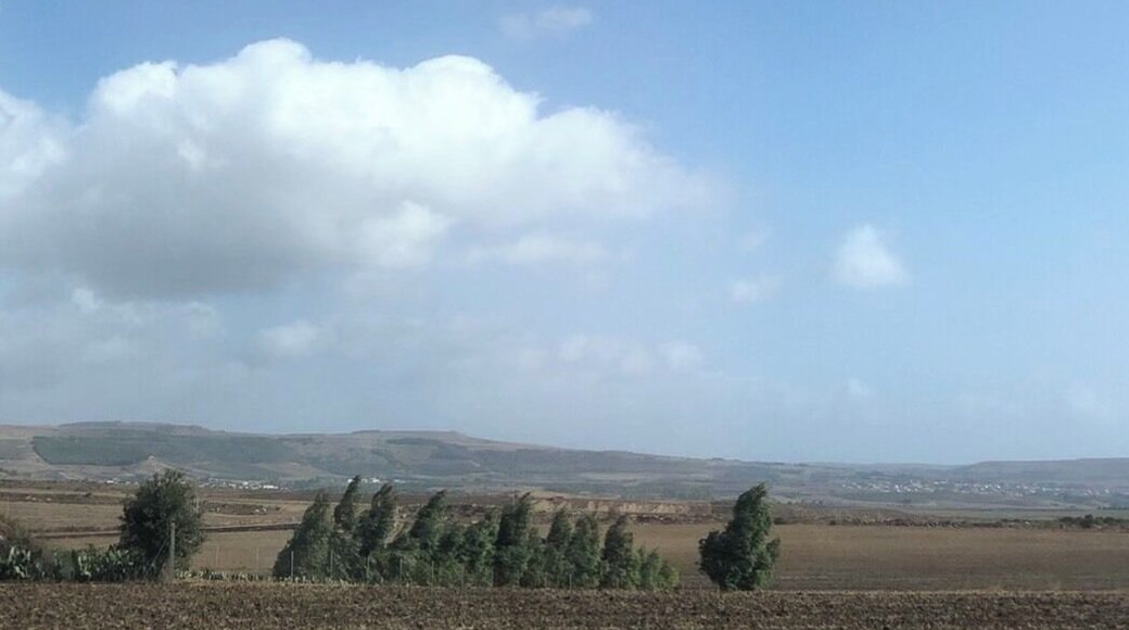 We drove through the beautiful Central Sardinia region of Oristano. Our destination was the village of Gergi.