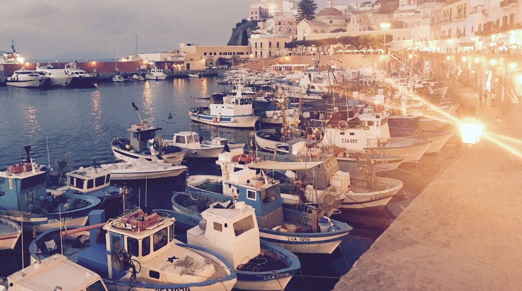 Amazing island of Ponza, frequented by the Italians and they are trying to keep it a secret!