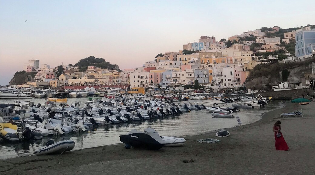 Ponza ♥️
#lifeatexpedia #ponza #wewhotravel #italy #travel #island #amazing