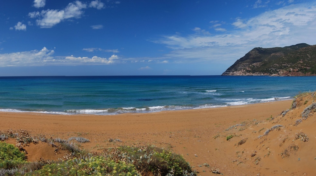 07041 Alghero, Province of Sassari, Italy