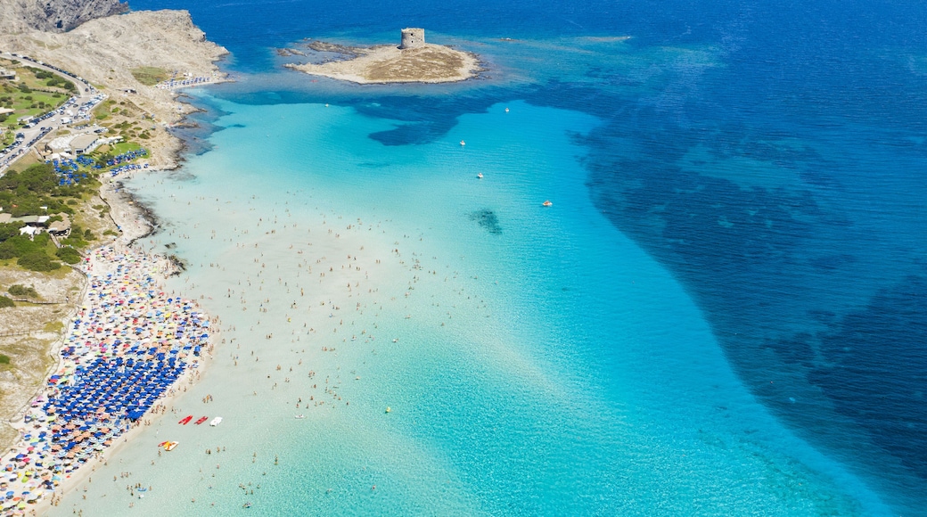 Stunning aerial view of the Spiaggia Della Pelosa (Pelosa Beach) full of colored beach umbrellas and people sunbathing and swimming in a beautiful turquoise clear water. Stintino, Sardinia, Italy.