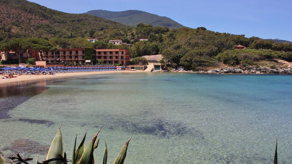 A coastal beach with clear water, a row of blue umbrellas, and a building with red roofs in the background.