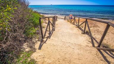 A sandy beach path leading to the ocean, surrounded by greenery and a wooden railing.