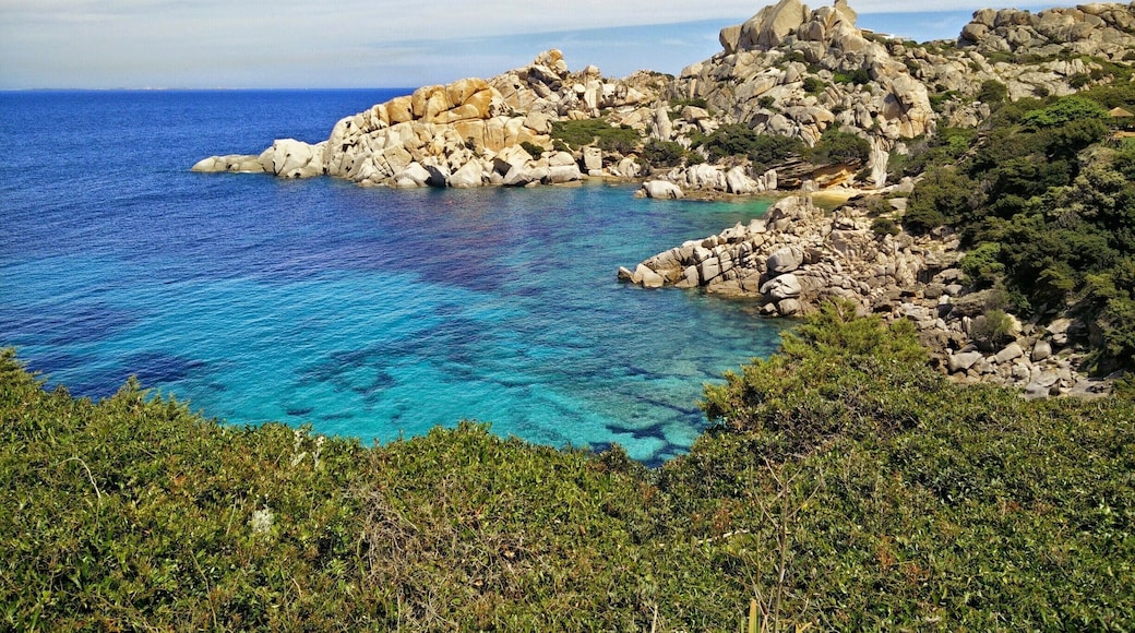 Absolutely amazing view and crystal clear water. You can even see Corsica.