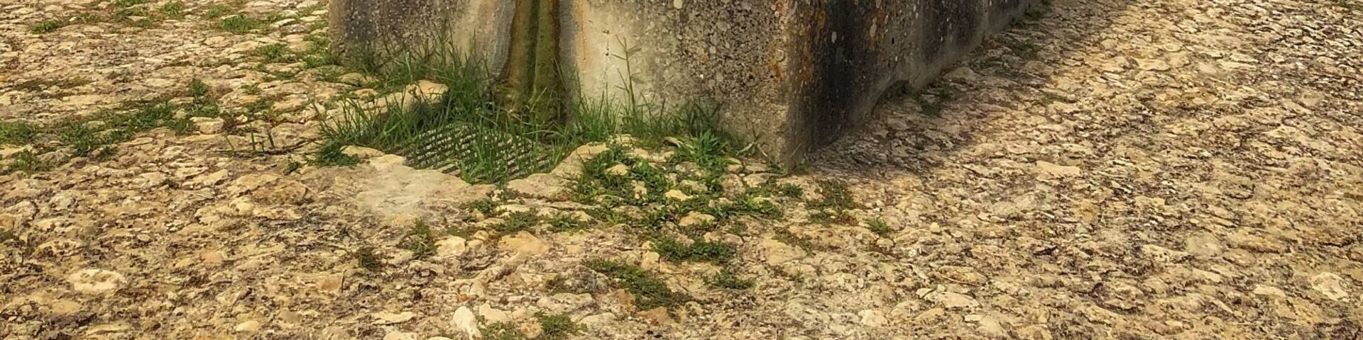 Planeta winery
#Golden