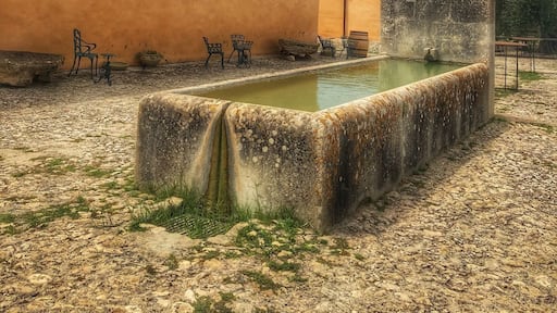 Planeta winery
#Golden