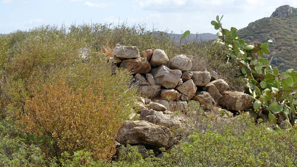 A rocky outcrop with sparse vegetation and a mountain in the background.