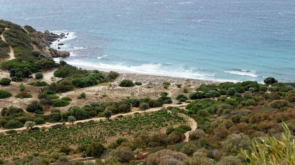 A coastal landscape with a beach, rocky shoreline, and dense vegetation.