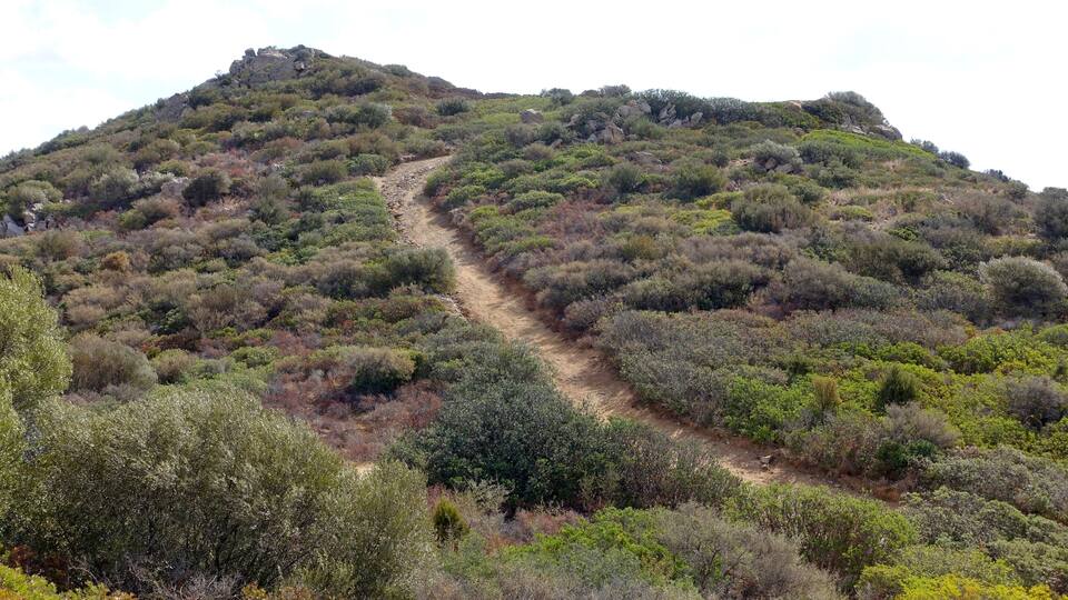 A mountainous landscape with a dirt path winding through dense shrubbery.