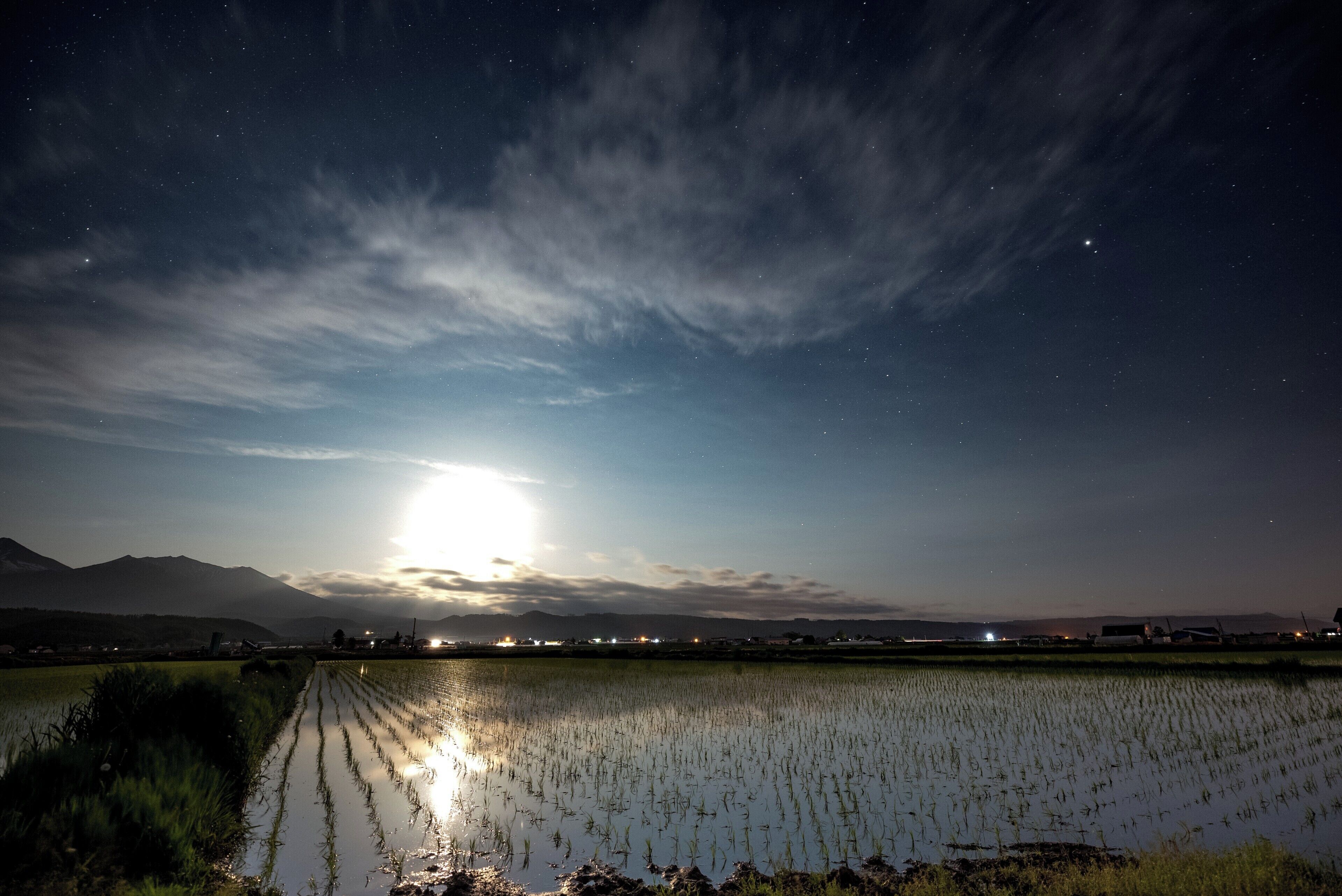 night sky at rice paddy fields.