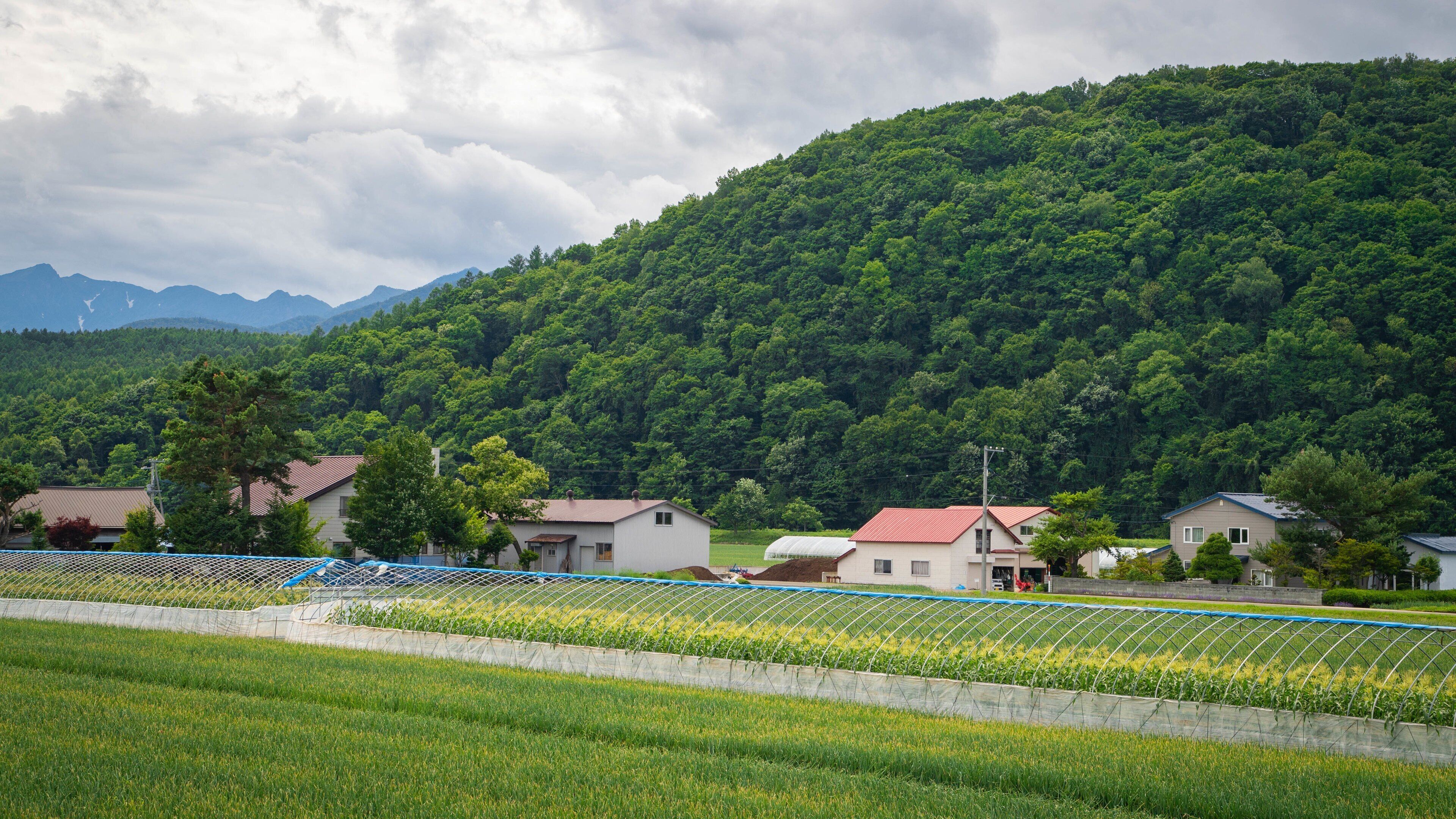 A rural landscape with houses, a green field, and a forested hill.