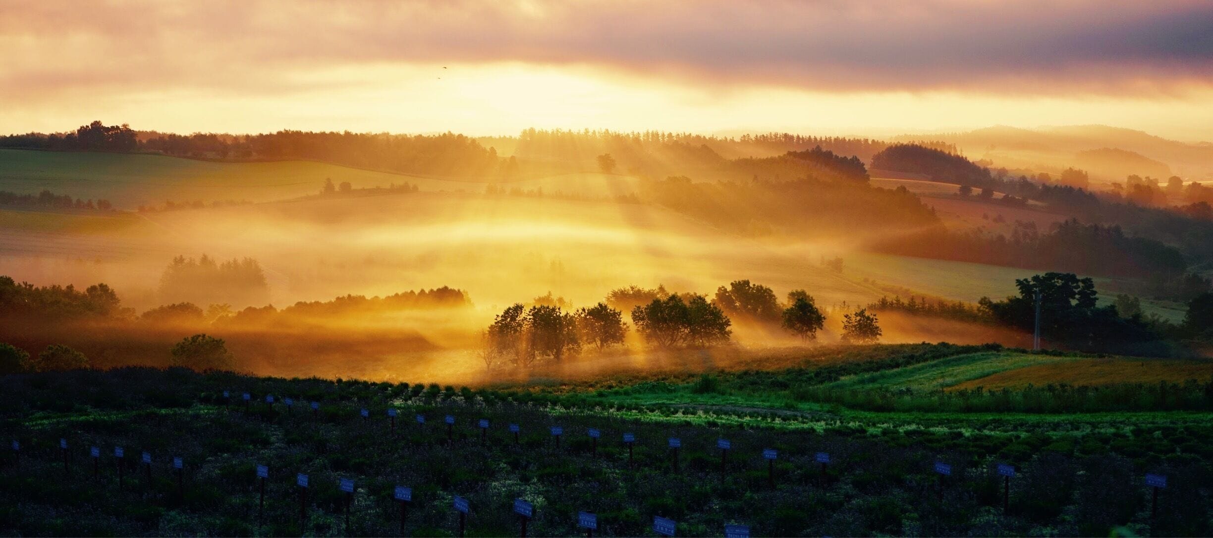 Sunrises at 4am in the summer 