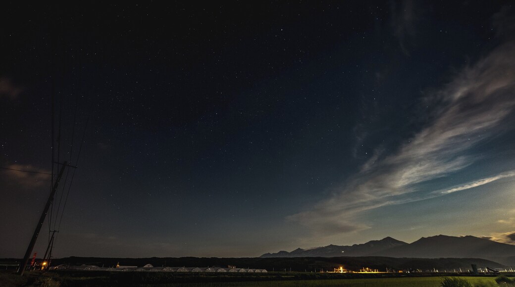 rice paddy field at night.