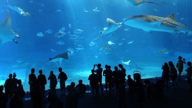 An aquarium with various marine life and a crowd of visitors.