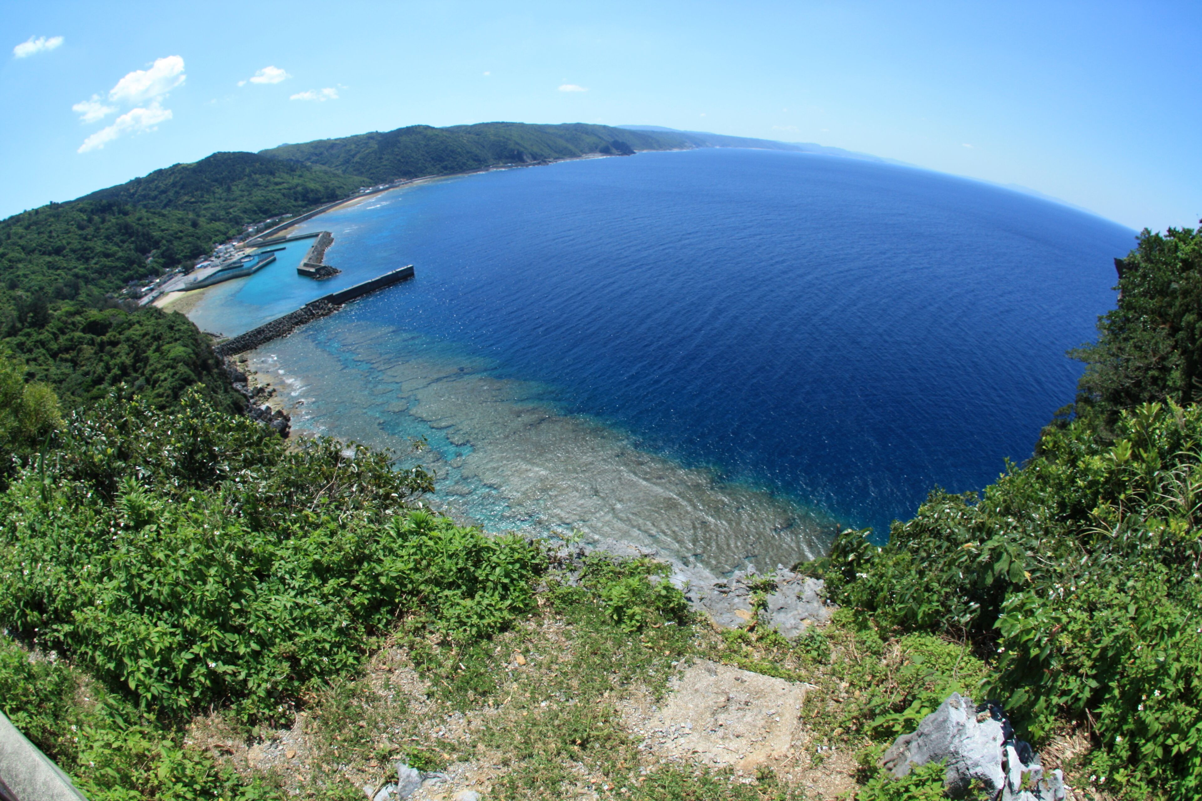 A coastal landscape with a clear blue sea, a rocky shoreline, and lush greenery.