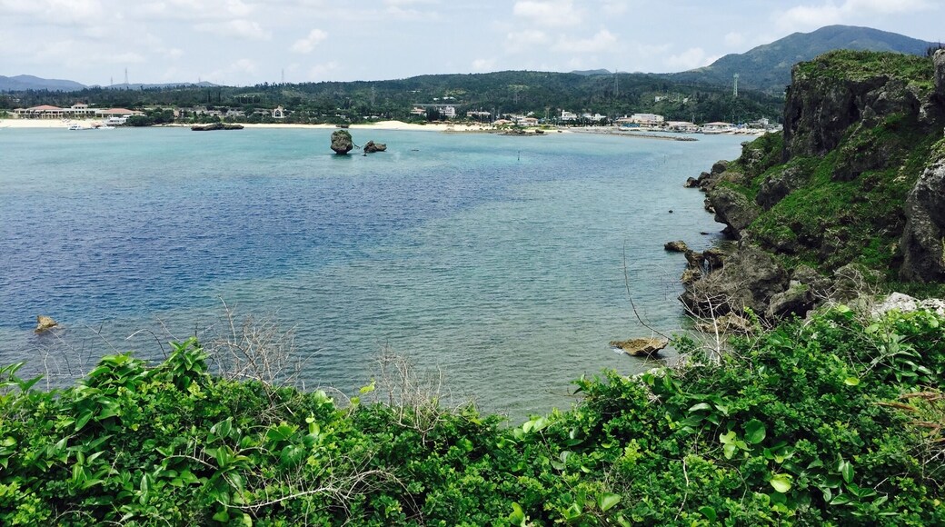 A great find! These cliffs are breathtaking.