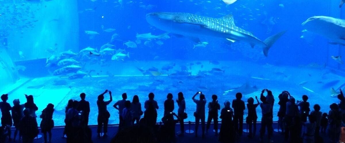 One of the biggest tanks in Japan.