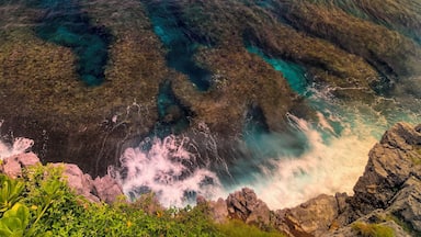 Polarized filter on my canon6D captured the gorgeous contrast between reef beds and clear blue waters of northern Okinawa. #Adventure #okinawa #japan