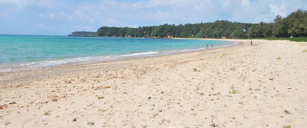 A sandy beach with clear turquoise water and a forested hillside in the background.