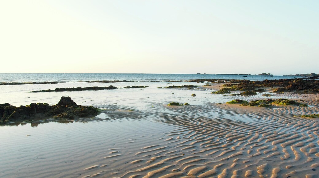 Tancha Beach at golden hour